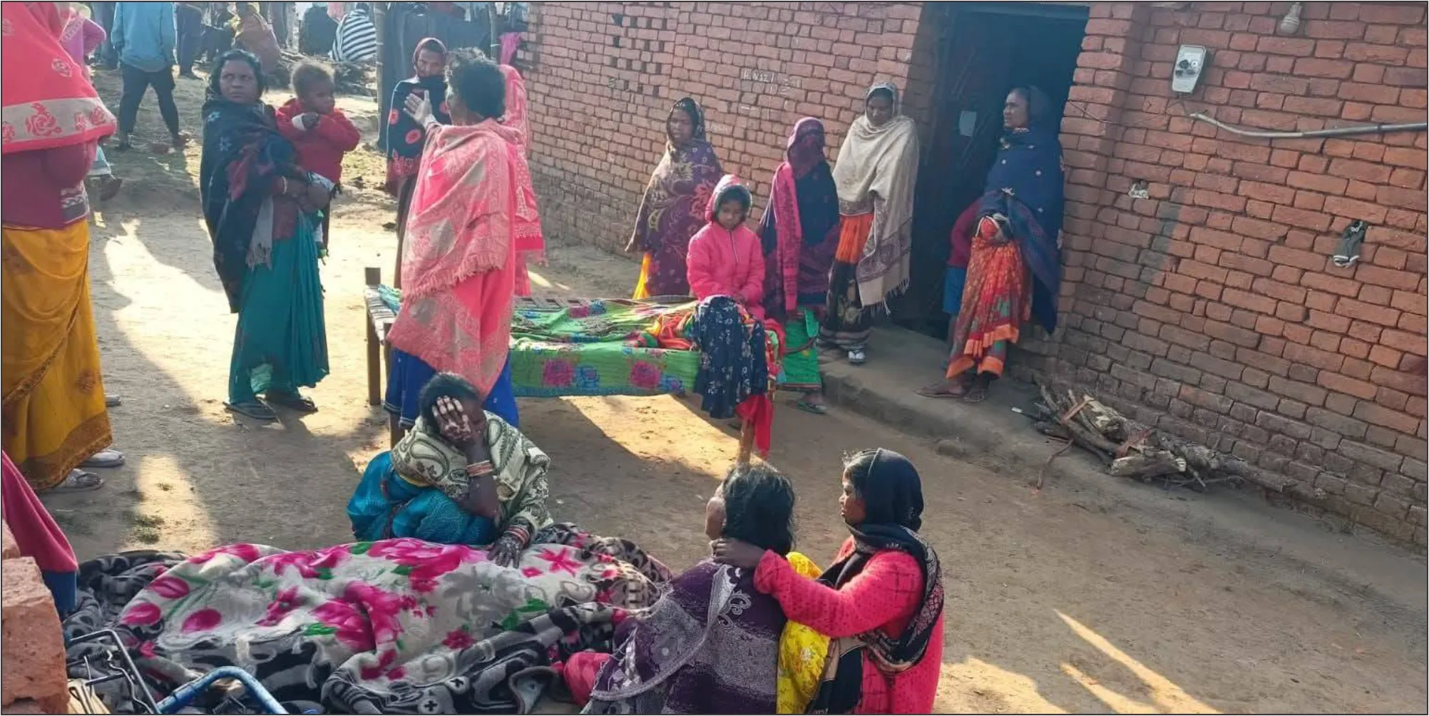 Elephants Create Elephants Create