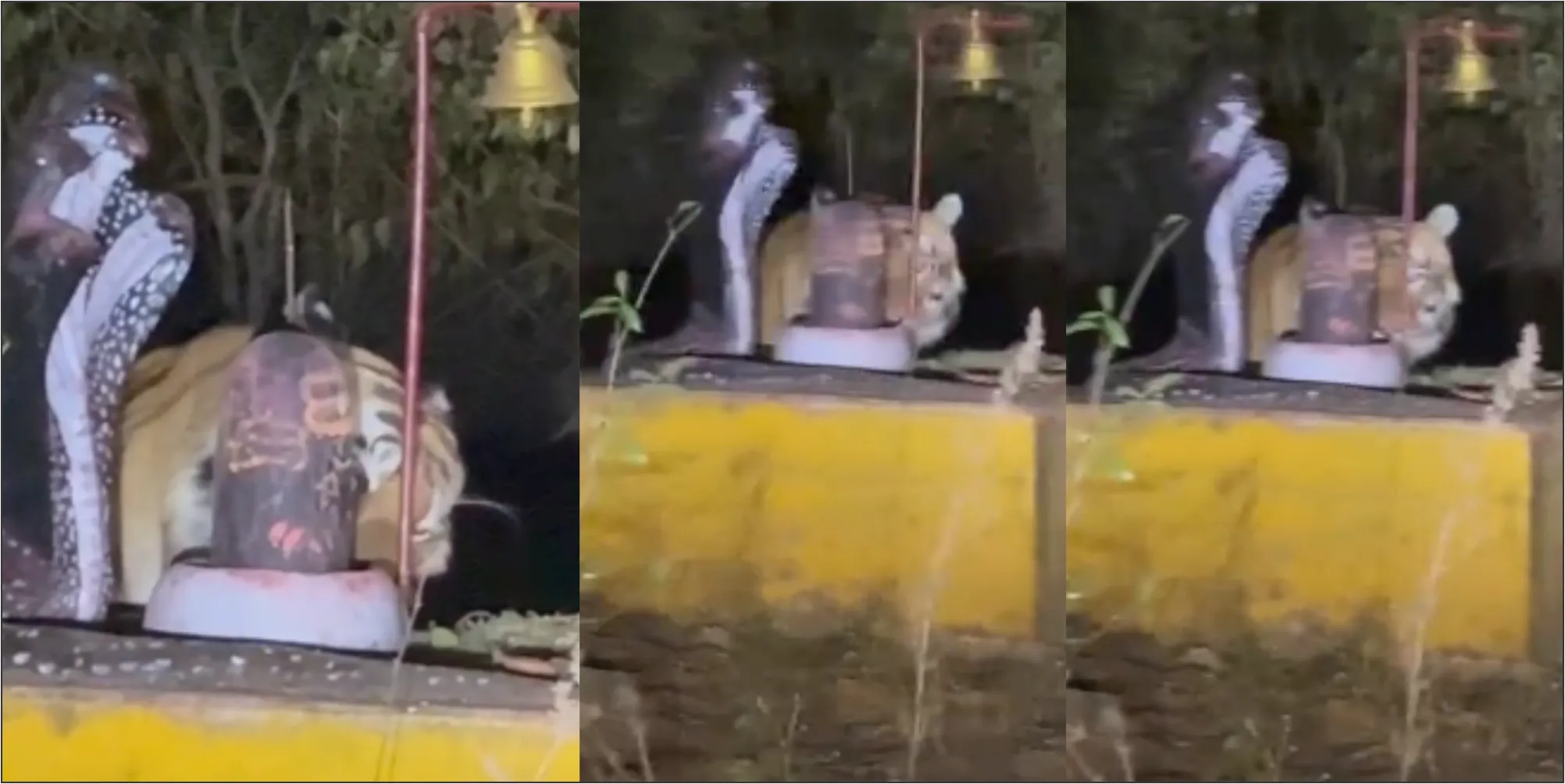 King of the jungle, devotee of Bholenath