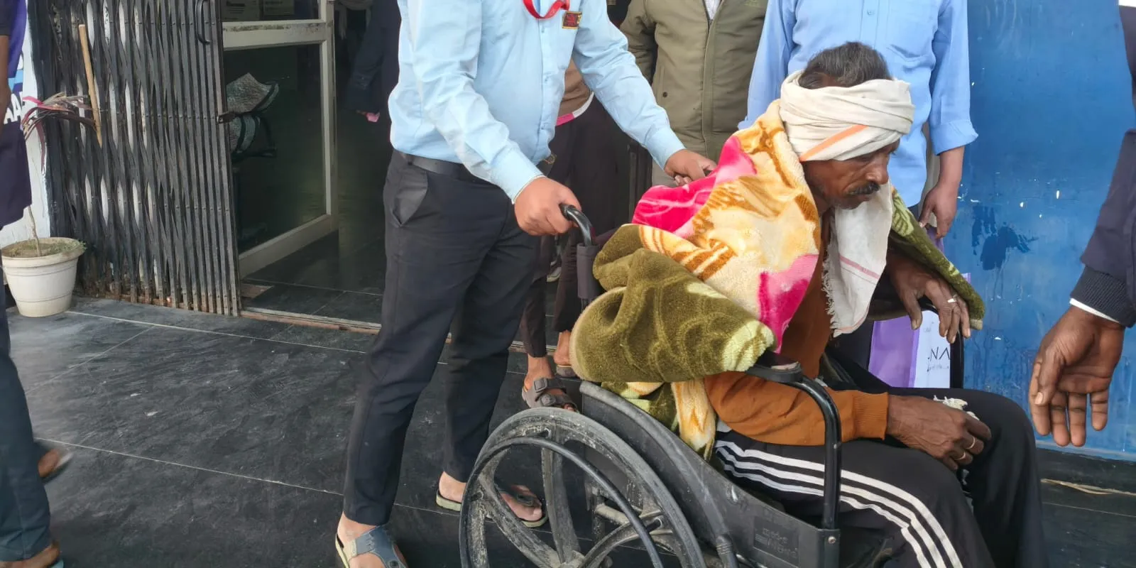 pigattackonperson pigattackonperson