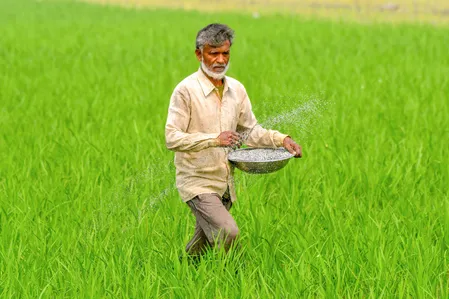 पश्चिम एशिया संकट के बीच देश में खाद का स्टॉक और सप्लाई दोनों ही मजबूत स्थिति में, उर्वरक की कीमतें स्थिर: केंद्र