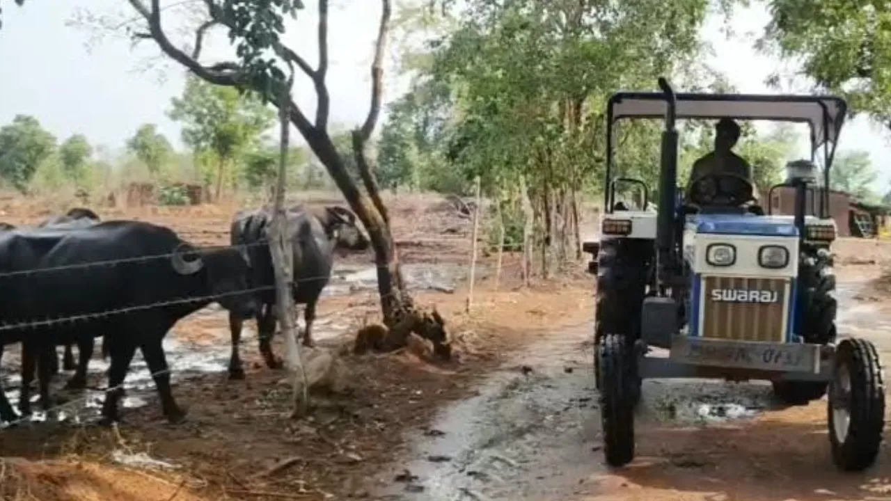 Bundelkhand farmer waiting