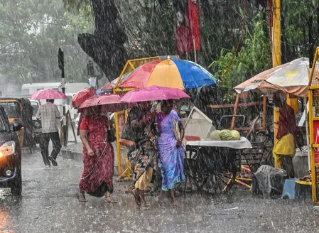 राजस्थान: सीकर में मूसलाधार बारिश से जनजीवन अस्त-व्यस्त, निचले इलाके जलमग्न राजस्थान: सीकर में मूसलाधार बारिश से जनजीवन अस्त-व्यस्त, निचले इलाके जलमग्न