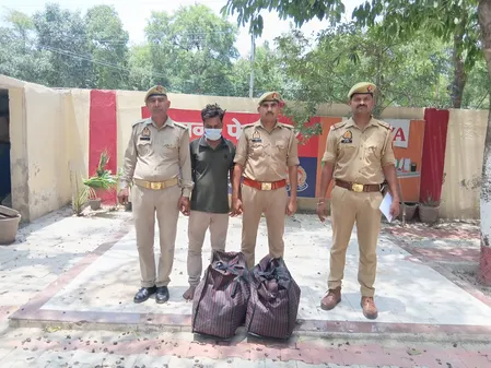नोएडा : तस्करी का बड़ा खुलासा, 4.5 लाख रुपए कीमत का 21 किलो से अधिक गांजा बरामद नोएडा : तस्करी का बड़ा खुलासा, 4.5 लाख रुपए कीमत का 21 किलो से अधिक गांजा बरामद