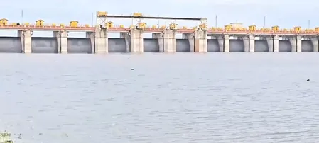 महाराष्ट्र: उज्जनी बांध 'डेड स्टोरेज लेवल' से ऊपर पहुंचा, बांध का जलस्तर 492.880 मीटर पर पहुंचा