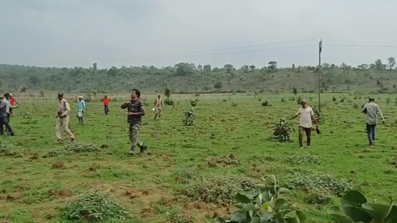 In the Madiyado buffer zone