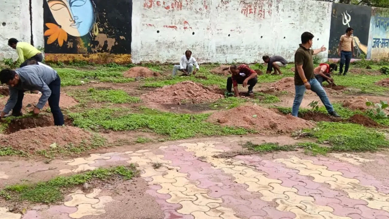 planted to protect the environment