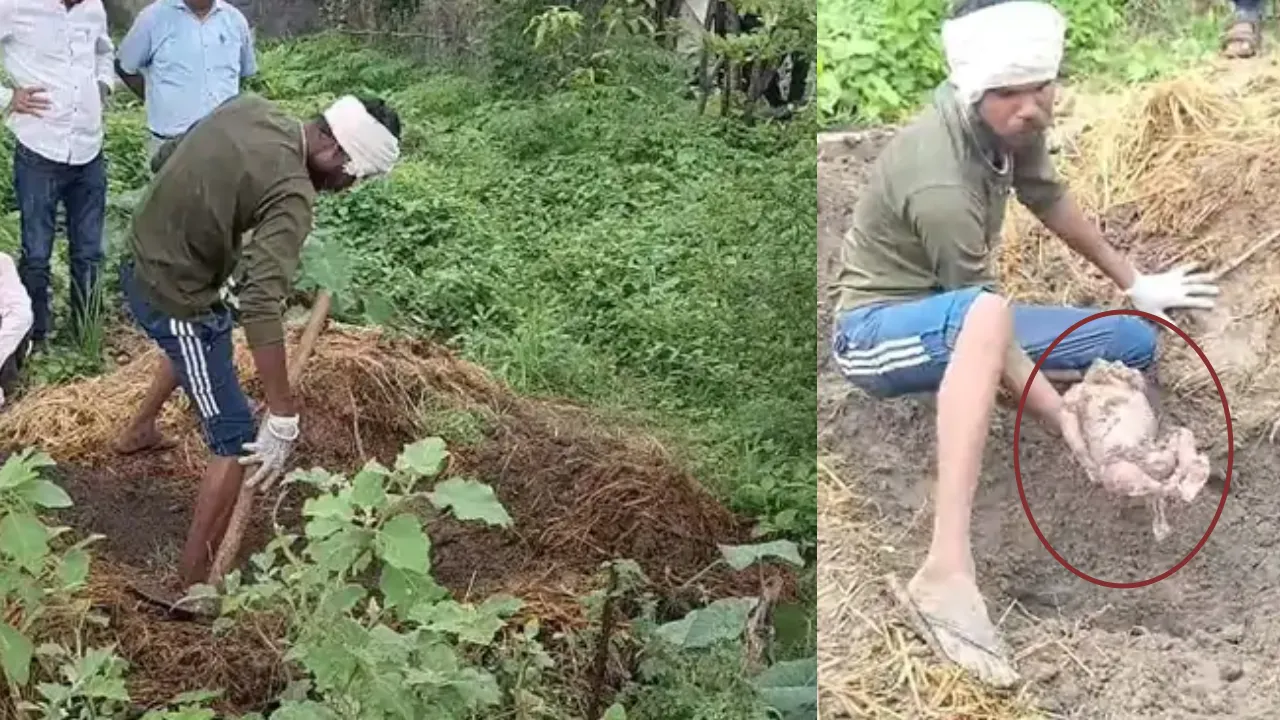 gobarkedhersemilanaati