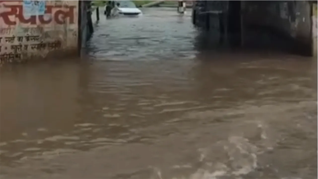 HeavyraininMandsaur