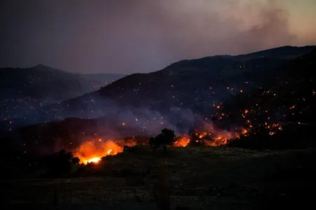 नीदरलैंड के लिम्बर्ग में भीषण जंगल की आग काबू में, राहत और निगरानी अभियान जारी