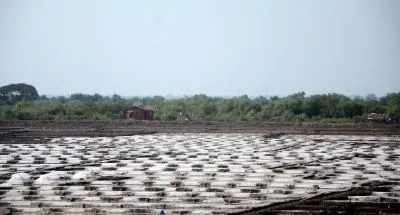 तमिलनाडु: नमक उत्पादकों की सरकारी जमीन पर लीज रिन्यू कराने की मांग, सीएम विजय से दखल की अपील