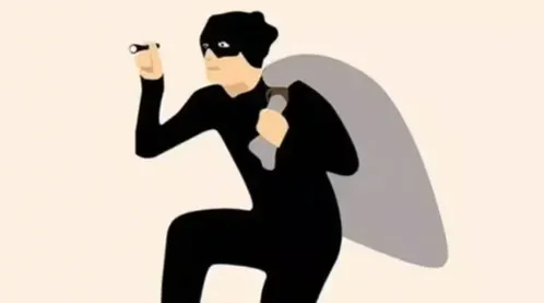 बांग्लादेश: सोना-चांदी नहीं, '330 किलो बाल चोरी' ने उड़ाई पुलिस की नींद
