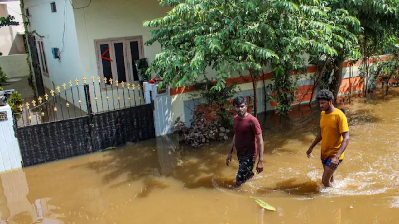 rainwaterinhome rainwaterinhome