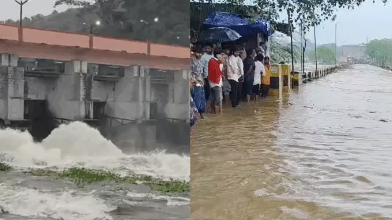 baadhagyaibhaiyainbridgemp