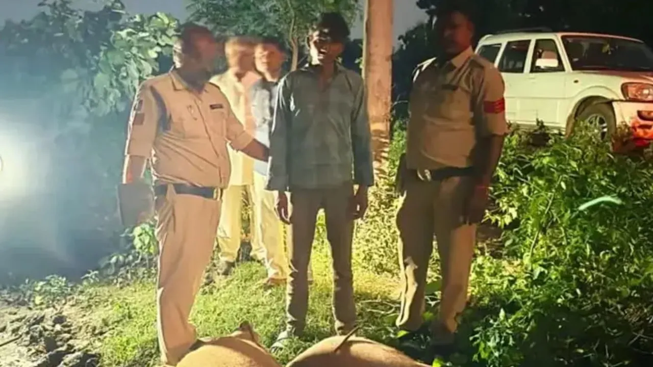 वेयरहाउस से चना चोरी की वारदात का 36 घंटे में खुलासा; 3 आरोपी गिरफ्तार, 6 कट्टी चना व बाइक जब्त