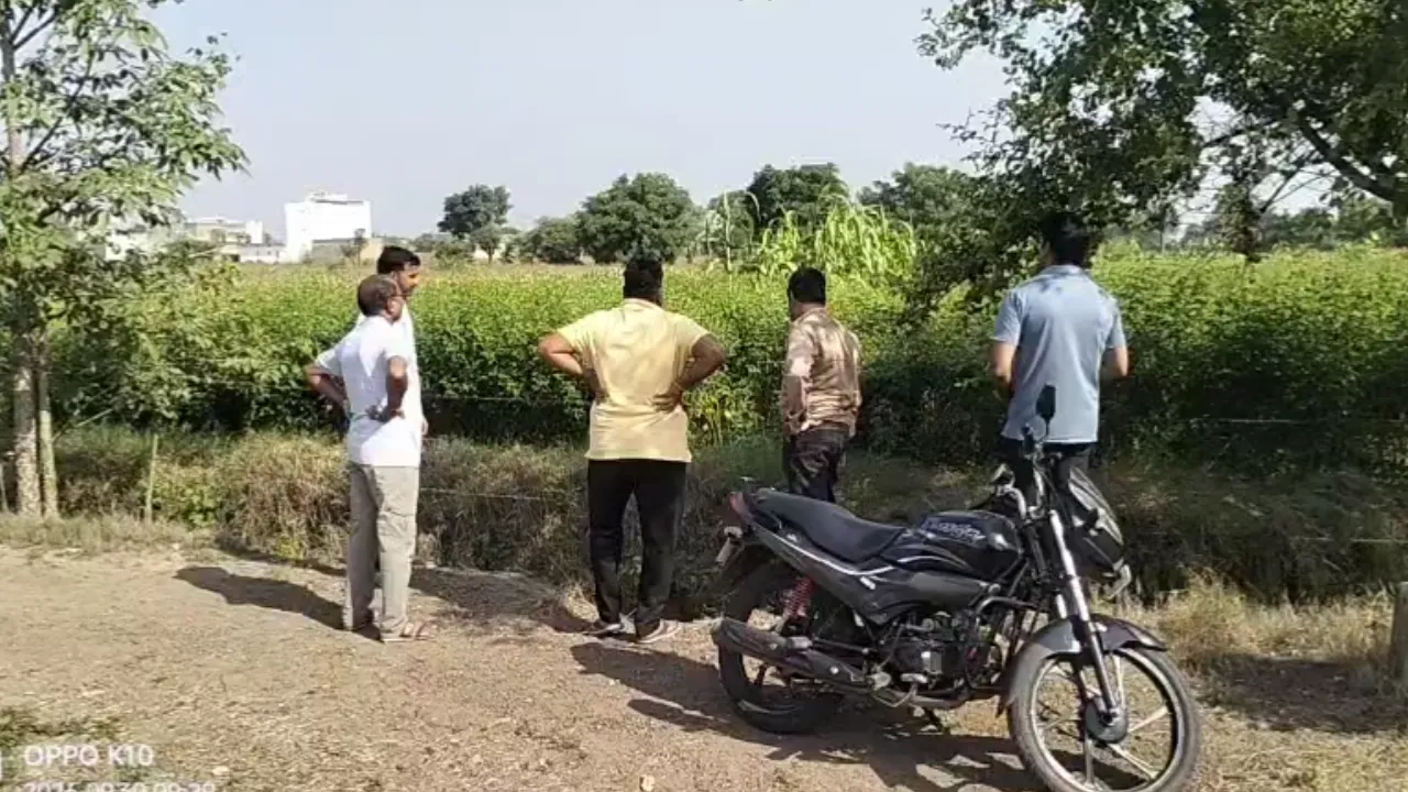 गंधवानी में घर के पास कमरे में बंधे तीन मवेशी चोरी
