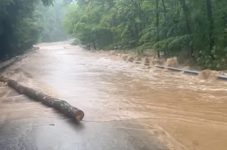 अमेरिका के ग्रैंड कैन्यन नेशनल पार्क में अचानक आई बाढ़, दो शव मिले, कई अब भी लापता