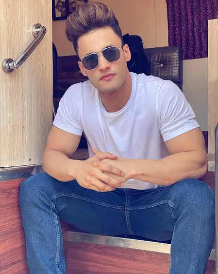 रुबीना दिलैक और हिना खान पर भड़के असीम रियाज, बोले-कठपुतली बनकर रोल निभाते रहो