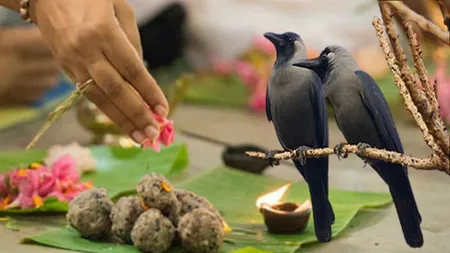 पितृपक्ष में नई शुरुआत से क्यों करते हैं परहेज, क्यों नहीं होता कोई मांगलिक कार्य?