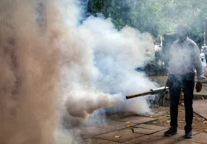 पश्चिम बंगाल में डेंगू का कहर, 29 नगर पालिकाएं और 278 ग्राम पंचायतें हॉटस्पॉट घोषित