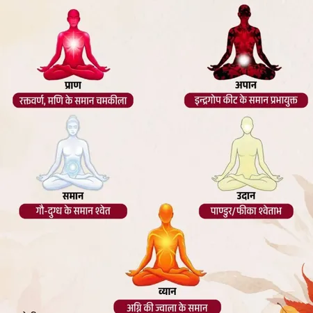 शरीर में बहती हैं 5 प्राण ऊर्जाएं, जानिए इनके रंग और काम