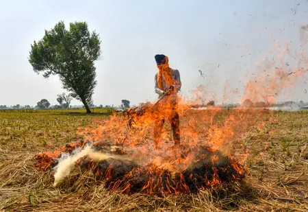 पंजाब में 49 पराली जलाने की घटनाएं दर्ज, 10 मामलों में लगाया गया 50 हजार रुपये जुर्माना