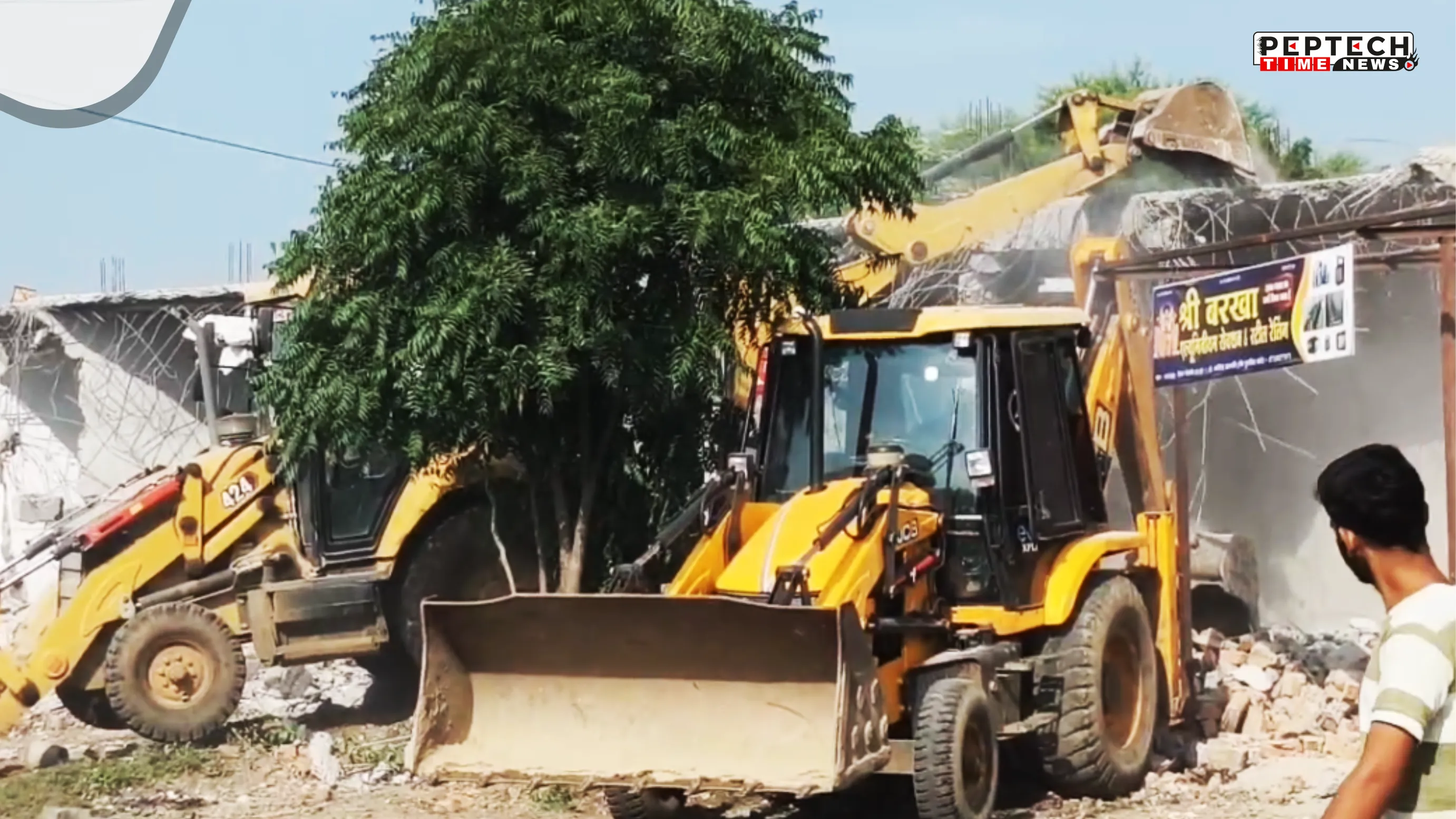 JCBMandsaur