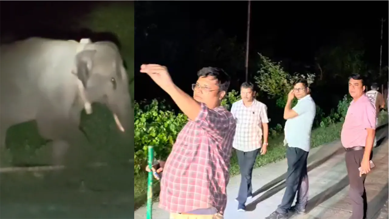 LateinAmarpatan