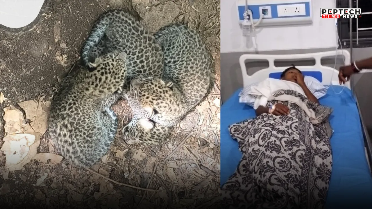 Leopardattacksinnocentvictim Leopardattacksinnocentvictim