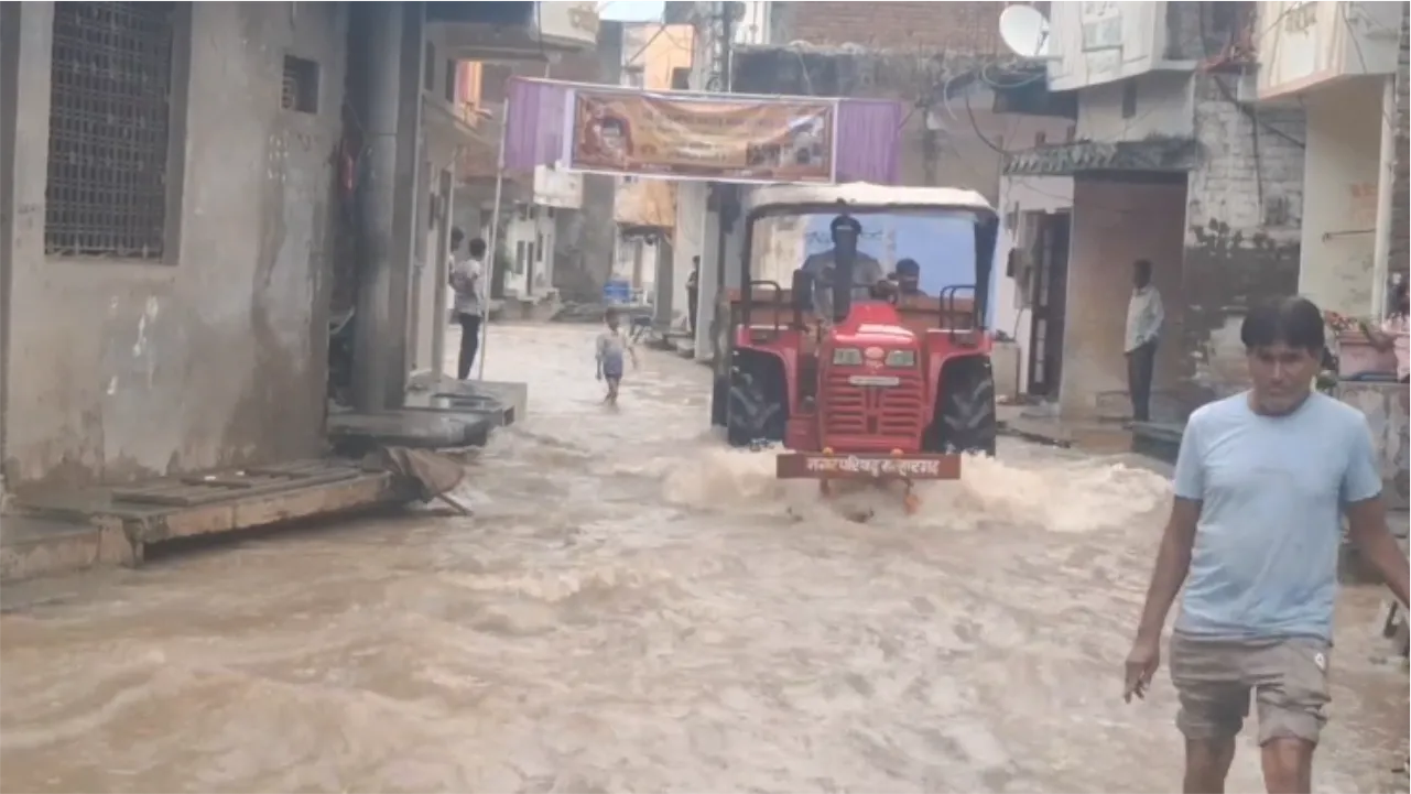 RaininMandsaur