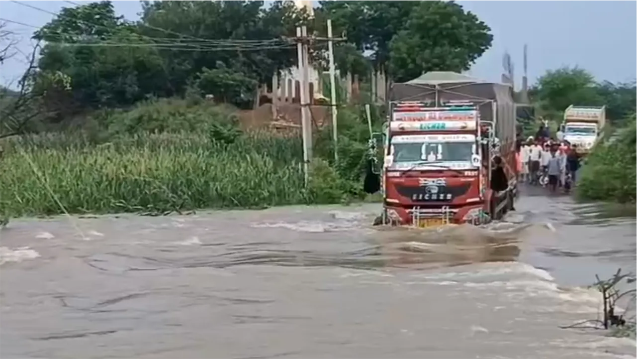 RaininMorena RaininMorena