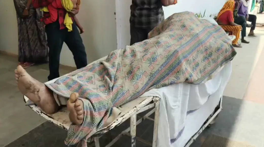 सोते समय गर्दन पर जहरीले सांप के डसने से मवेशी व्यापारी की मौत, प्रयागराज से भैंस बेचने आया था युवक