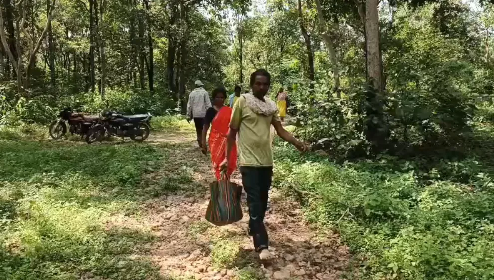 माटी छूटी, देवस्थान छूटे, क्या 15 लाख में बिकेगी पुश्तैनी जड़ें?: बैगा-गोंड आदिवासियों के विस्थापन की प्रक्रिया शुरू, खाली कराए जा रहे वनग्राम