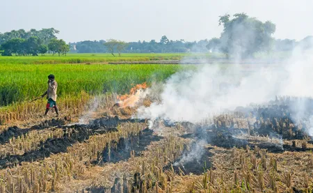 पराली जलाने से वायु प्रदूषण के साथ खेतों को भी होता है भारी नुकसान