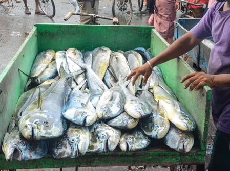 ट्रंप ने अमेरिकी सीफूड की पहचान के लिए नई लेबलिंग योजना की घोषणा की
