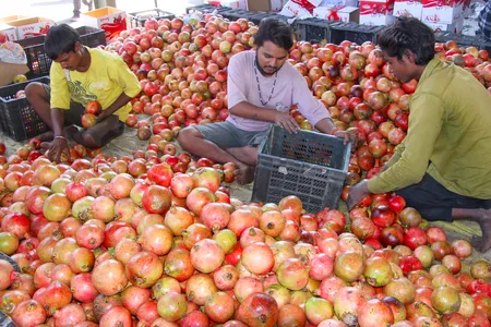 ऑनलाइन बिक्री बढ़ने के बावजूद फल-सब्जी कारोबार पर बड़ा असर नहीं, रिटेलर्स का 20 प्रतिशत ट्रेड शिफ्ट: आजादपुर मंडी के पूर्व महासचिव
