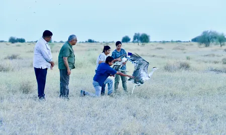 केंद्रीय मंत्री भूपेंद्र यादव ने जैसलमेर सैम डेजर्ट नेशनल पार्क में दो दुर्लभ 'ग्रेट इंडियन बस्टर्ड' पक्षियों को छोड़ा