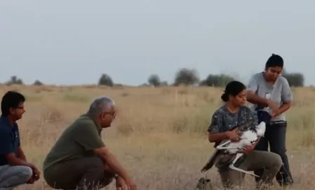 ग्रेट इंडियन बस्टर्ड के संरक्षण में बड़ी सफलता, पर्यावरण मंत्री ने कहा-'वैज्ञानिकों की तारीफ के लिए कम हैं शब्द'
