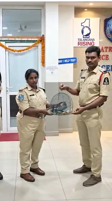 हैदराबाद में दशहरा पर अंधविश्वास की भेंट चढ़ने से चार इंडियन रोलर पक्षियों को पुलिस ने बचाया