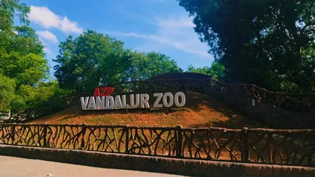 तमिलनाडु : वंडालूर चिड़ियाघर में बर्ड फ्लू की पुष्टि, दो दिन के लिए बंद हुई एंट्री