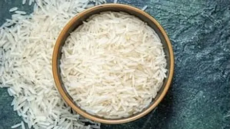 लॉजिस्टिक्स चुनौतियों के बावजूद भारत का चावल निर्यात मजबूत, वैश्विक फूड सिक्योरिटी में हमारी भूमिका और बढ़ी: विशेषज्ञ