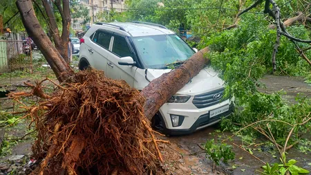 चक्रवात 'अर्नब' से आंध्र प्रदेश में सात मौतें, 4,600 करोड़ रुपए के नुकसान का अनुमान : सीएम नायडू