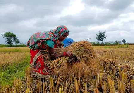राजस्थान में चक्रवात अर्नब के कारण हुई बारिश, तापमान में गिरावट