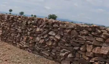 पुरानी दीवार तोड़ी, नए निर्माण का निकाला बजट, श्योपुर वन विभाग में प्लांटेशन सुरक्षा दीवार निर्माण पर गंभीर सवाल