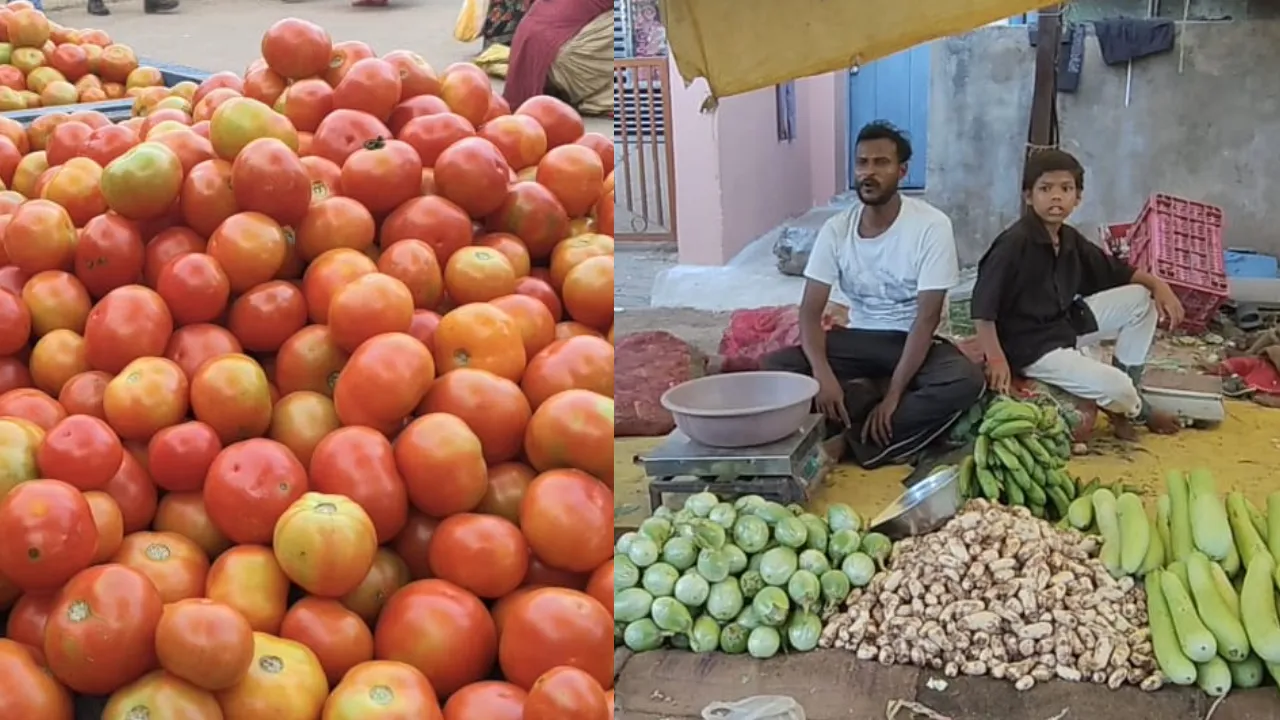 टमाटर-भिंडी ने बिगाड़ा रसोई का बजट, सब्जियों की आवक प्रभावित, 10 से 15 रुपये किलो तक बढ़े दाम